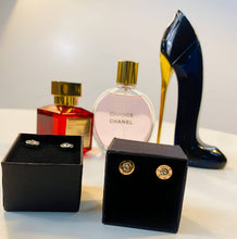 Load image into Gallery viewer, Earring