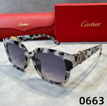 Load image into Gallery viewer, Sunglass