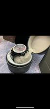 Load image into Gallery viewer, Watch