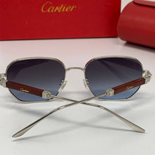 Load image into Gallery viewer, Sunglass