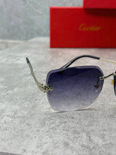 Load image into Gallery viewer, Sunglass