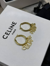 Load image into Gallery viewer, Earring