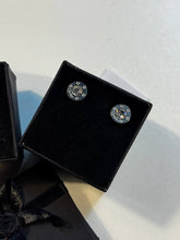 Load image into Gallery viewer, Earring