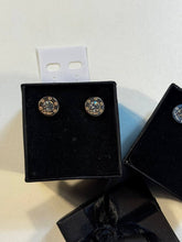 Load image into Gallery viewer, Earring