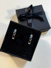 Load image into Gallery viewer, Earring