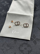 Load image into Gallery viewer, Earring