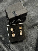 Load image into Gallery viewer, Earring