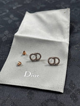 Load image into Gallery viewer, Earring