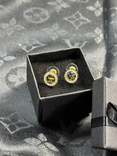 Load image into Gallery viewer, Earring