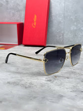 Load image into Gallery viewer, Sunglass
