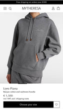 Load image into Gallery viewer, Hoodie