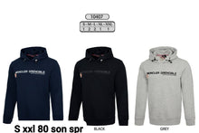 Load image into Gallery viewer, Hoodie