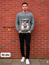 Load image into Gallery viewer, Jumper men