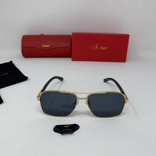 Load image into Gallery viewer, Sunglass
