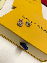 Load image into Gallery viewer, Earring