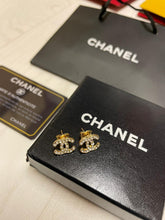 Load image into Gallery viewer, Earring