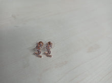 Load image into Gallery viewer, Earring