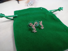 Load image into Gallery viewer, Earring