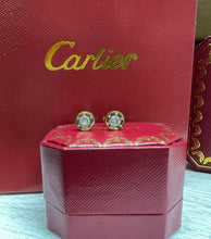 Load image into Gallery viewer, Earring