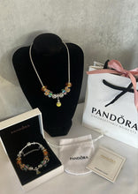 Load image into Gallery viewer, Necklace