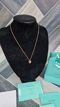 Load image into Gallery viewer, Necklace