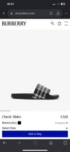Load image into Gallery viewer, Slipper