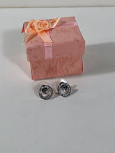 Load image into Gallery viewer, Earring