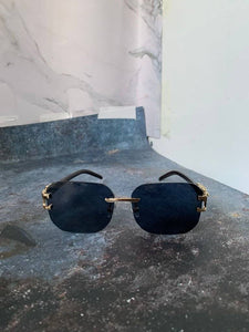 Sunglass