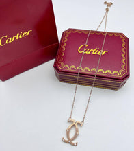 Load image into Gallery viewer, Necklace