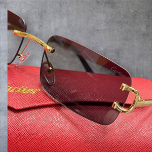 Sunglass