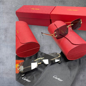 Sunglass