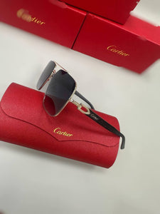 Sunglass