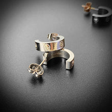Load image into Gallery viewer, Earring