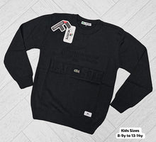Load image into Gallery viewer, Jumper boy
