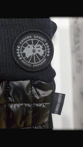 Glove
