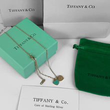 Load image into Gallery viewer, Necklace