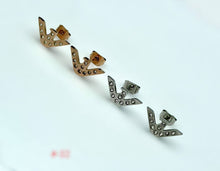 Load image into Gallery viewer, Earring