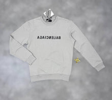 Load image into Gallery viewer, Hoodie