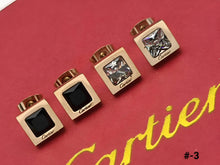 Load image into Gallery viewer, Earring