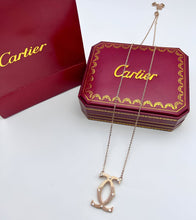 Load image into Gallery viewer, Necklace