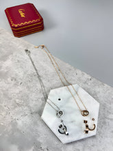 Load image into Gallery viewer, Necklace