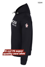 Load image into Gallery viewer, Hoodie