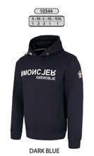 Load image into Gallery viewer, Hoodie