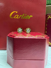 Load image into Gallery viewer, Earring