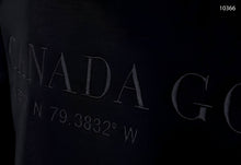 Load image into Gallery viewer, Hoodie