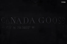 Load image into Gallery viewer, Hoodie