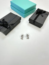 Load image into Gallery viewer, Earring