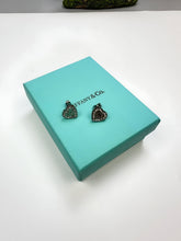 Load image into Gallery viewer, Earring