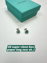 Load image into Gallery viewer, Earring