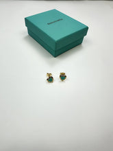 Load image into Gallery viewer, Earring